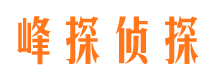 牟定市调查取证